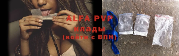 мяу мяу мука Абаза